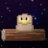 Infinite Bird