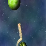 Planet Explorer